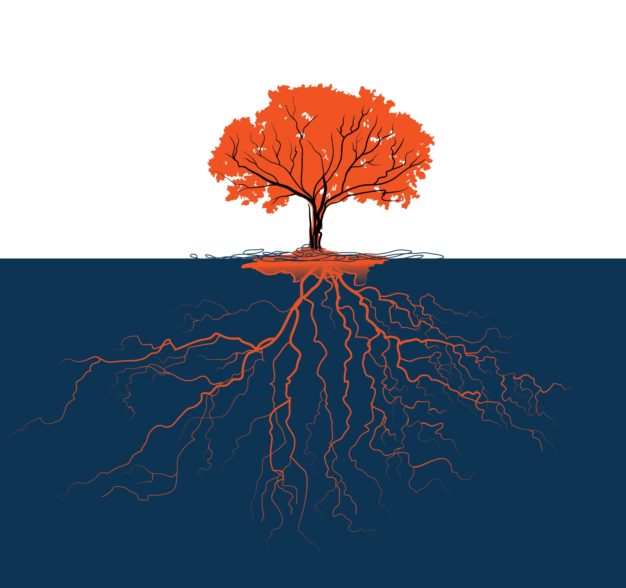 Home Page Tree Roots Animation Static Preview-01