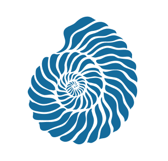 Home-Section2-Tile2-Shell