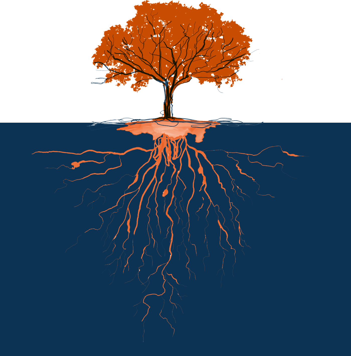 Tree_roots_bg-image